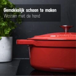 Daumonet Bocuse Rouge Gietijzeren Braadpan - Sudderpan Kersen Rood - Ovaal - Ø 29 Cm - 3 Liter - PFAS & PFOA Vrij - Emaille - Geschikt Voor Alle Warmtebronnen - Elektrisch - Gas - Halogeen - Inductie - Keramisch - Vaatwasserbestendig -Pannen Verkoop 1200x1200 130