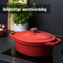 Daumonet Bocuse Rouge Gietijzeren Braadpan - Sudderpan Kersen Rood - Ovaal - Ø 29 Cm - 3 Liter - PFAS & PFOA Vrij - Emaille - Geschikt Voor Alle Warmtebronnen - Elektrisch - Gas - Halogeen - Inductie - Keramisch - Vaatwasserbestendig -Pannen Verkoop 1200x1200 131