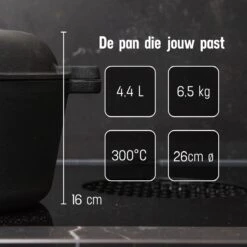 Daumonet Ducasse Gietijzeren Double Use Braadpan - Combi Sudderpan Zwart - 2-in-1 Bak- En Braadpan - PFAS & PFOA Vrij - Rond - Ø 26 Cm - 4,4 Liter - Emaille - Alle Warmtebronnen - Elektrisch - Gas - Halogeen - Inductie - Keramisch -Pannen Verkoop 1200x1200 793