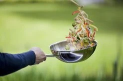 Demeyere Senses 5 RVS Wokpan - Inductie - 30 Cm – PTFE En PFAS Vrij -Pannen Verkoop 1200x786