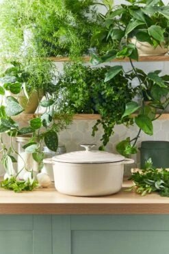 Tefal LOV Braadpan - 5L - Ø25 Cm - Beige -Pannen Verkoop 800x1200 12