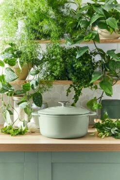 Tefal LOV Braadpan - 5L - Ø25 Cm - Groen -Pannen Verkoop 800x1200 14