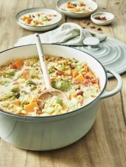 Tefal LOV Braadpan - 5L - Ø25 Cm - Groen -Pannen Verkoop 900x1200 17